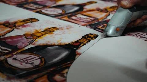 Cutting out printed fabric design Stock Footage 135269686