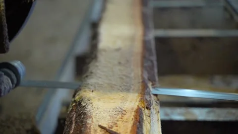 Cutting off a part of a log with a saw Stock Footage 157280526