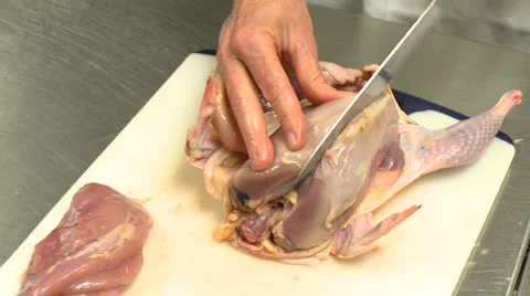 Cutting pheasant breasts HD Stock Footage 5501357