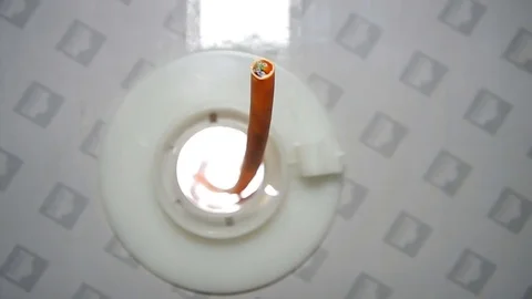 Cutting of a piece of a network cable Stock Footage 82533613