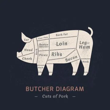 Cutting pig meat painted in a vector. Stock Illustration