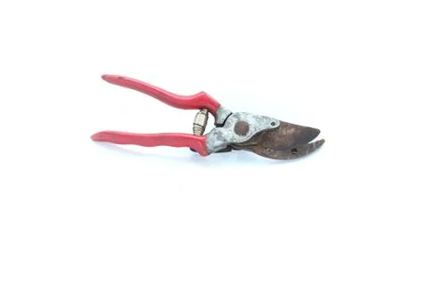 Cutting pliers of tree on isolated Stock Photos