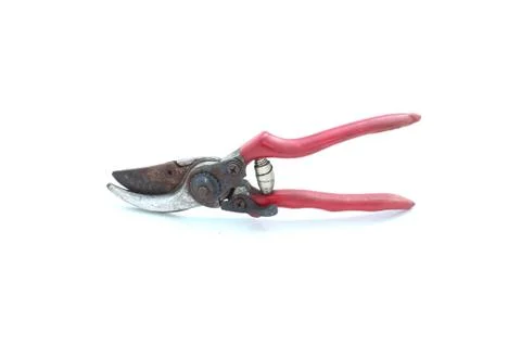 Cutting pliers of tree on isolated Stock Photos