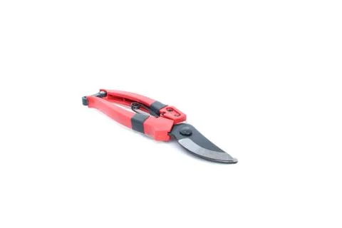 Cutting pliers of tree on isolated Foto stock