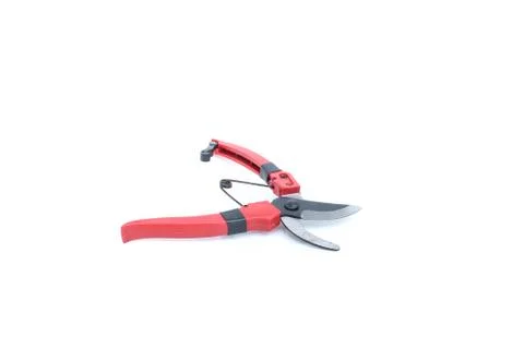 Cutting pliers of tree on isolated Stock Photos