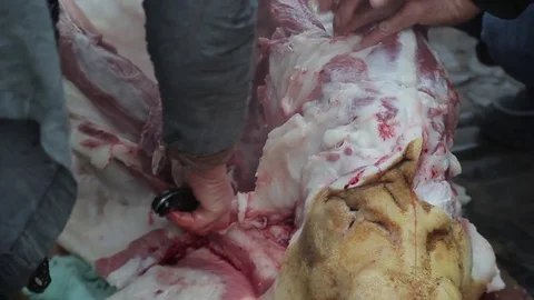 Cutting Pork Leg Stockbeeldmateriaal 70554770