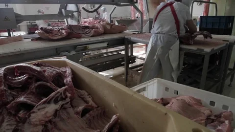Cutting pork at manufactory Stock Footage 80125522