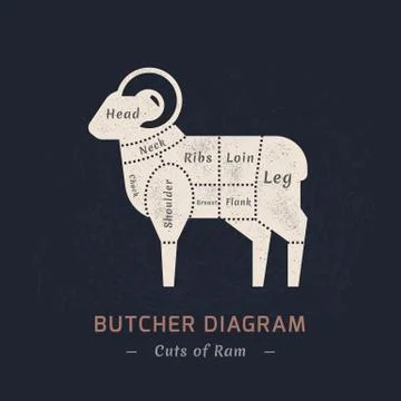 Cutting ram meat painted in a vector. Stock Illustration