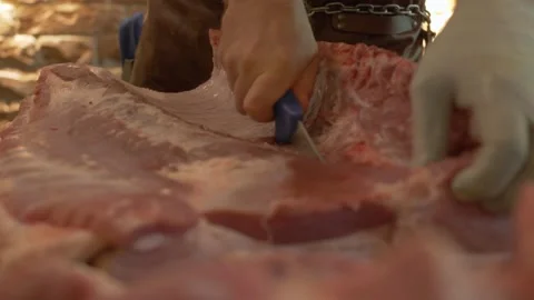 Cutting Raw Big Pork Stock Footage 137900704
