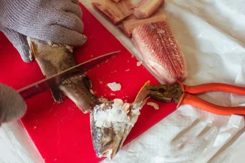 Cutting raw fish on fillets. Stock Photos