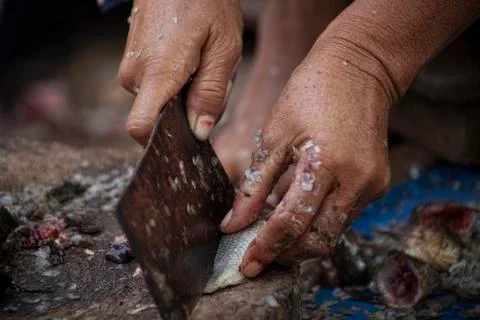 Cutting raw fish Foto stock