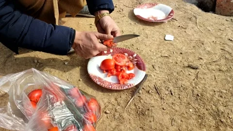 Cutting red tomatoes 動画素材 166804928