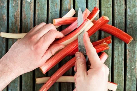 Cutting rhubarb Stock Photos
