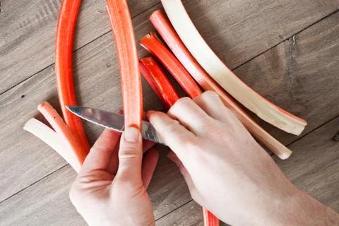 Cutting rhubarb Stock Photos