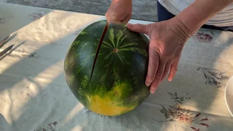 Cutting ripe watermelon in half with kitchen knife on rustic village table Stock Footage 345173246