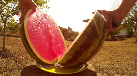 Cutting ripe watermelon on two halves in the garden backyard in front of the sun Stock Footage 67185260