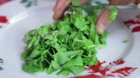 Cutting rocket leaves for salad Stock Footage 35222404