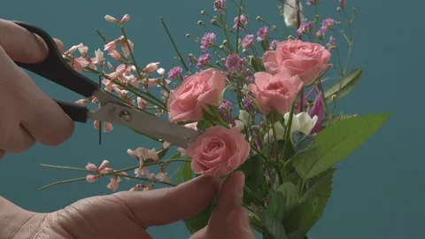 Cutting Rose Stock Footage 96146337