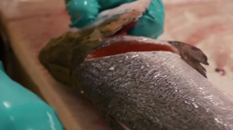 Cutting salmon fillet close up Stock Footage 36989733