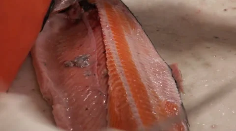 Cutting up salmon fillet Stock Footage 36991434