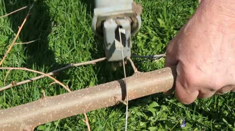 Cutting saw 動画素材 10853575