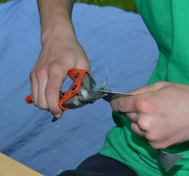 Cutting of sheets Stock Photos