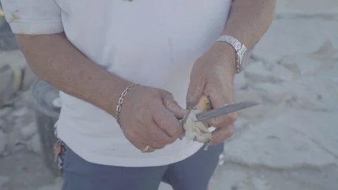 Cutting the shell 動画素材 112258741