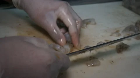Cutting Shrimp Stock Footage 63232541
