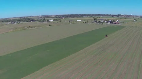 Cutting Silage Video stock 30480851