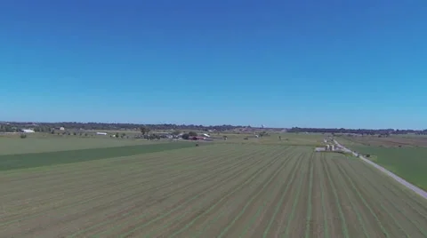 Cutting Silage Stock Footage 30480857