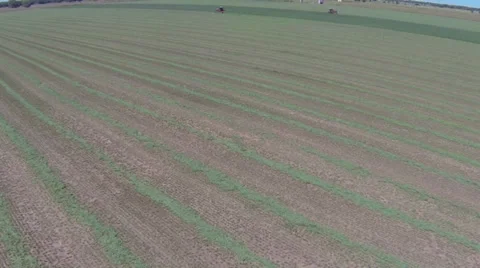 Cutting Silage Stock Footage 30480862