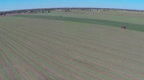 Cutting Silage Stock Footage 30480893