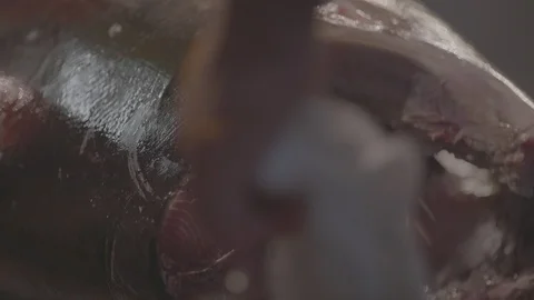 Cutting Slices From A Large Tuna Fish At The Tsukiji Fish Market In Japan2 Video stock 101316256
