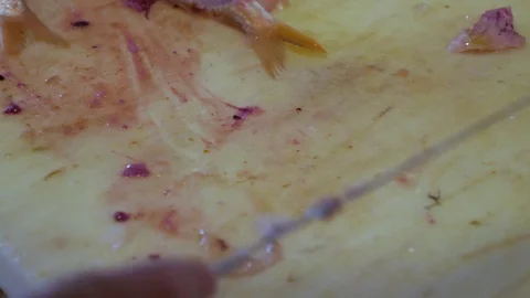 Cutting a small fish Stock Footage 117920450