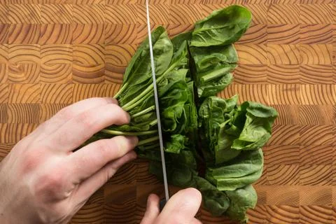 Cutting Spinich Stock Photos