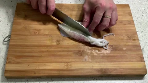 Cutting Squid with a sharp knife Stock Footage 170809229