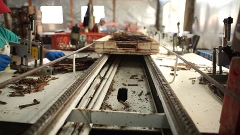 Cutting sticks Stock Footage 77050337