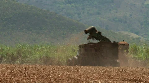 Cutting Sugar Cane Stock Footage 37841166