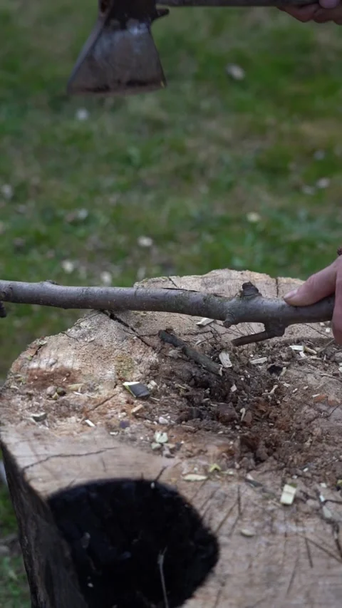 Cutting thin branches with an axe. Cutting branches on an oak tree deck Stock Footage 306009552