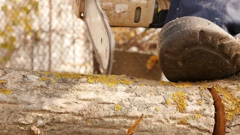 Cutting through wood with chainsaw. Close-up of a leg holding a log. Slow motion Stock Footage 120165670