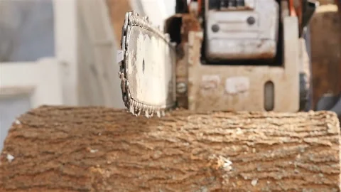 Cutting through wood with chainsaw. Close-up of a saw. Slow motion Video stock 120168518