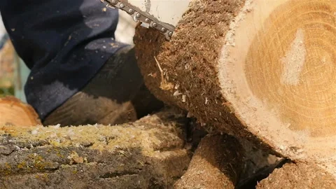 Cutting through wood with chainsaw. Close-up. Slow motion Stock Footage 120169141