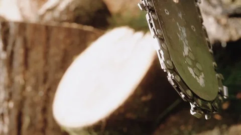 Cutting through wood with chainsaw. Stock Footage 80912042