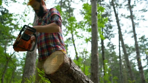 Cutting through wood with chainsaw Stock Footage 109012805
