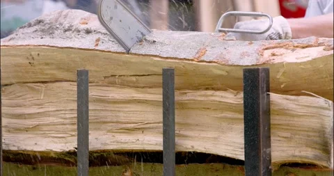 Cutting through wood with chainsaw Video stock 161754516