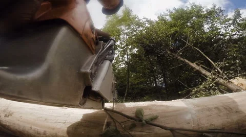 Cutting through wood with chainsaw. Slow motion. Closeup Video stock 65152245