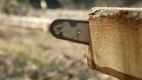 Cutting through wood log chainsaw in slow motion HD Stock Footage 109021469