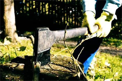 Cutting Timber with an Axe in the Garden using Gloves Stock Photos