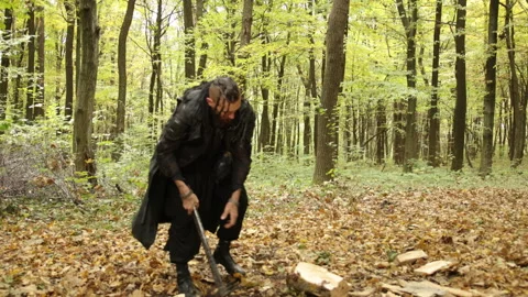 Cutting timber, Viking activity, Forest work Stockbeeldmateriaal 337265690