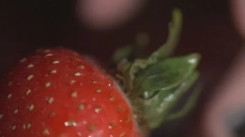 Cutting The Tip Part Of The Strawberry. - Macro Shot Vídeos de archivo 138548662